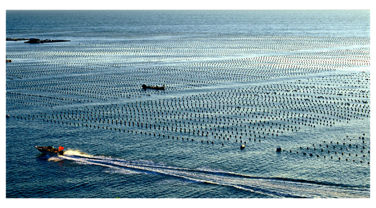 海上拾景 摄影 傅哥