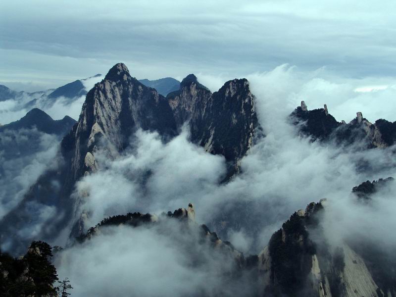 华山云海 摄影 闲情逸致