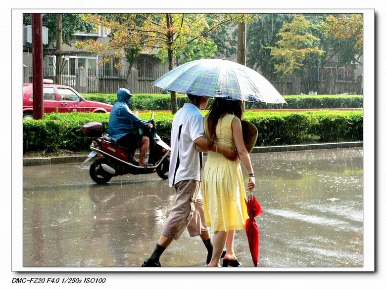 阳光雨中的情调 摄影 偶有闲情