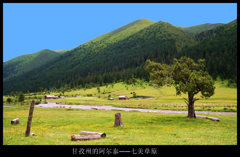 七美草原 摄影 雅加