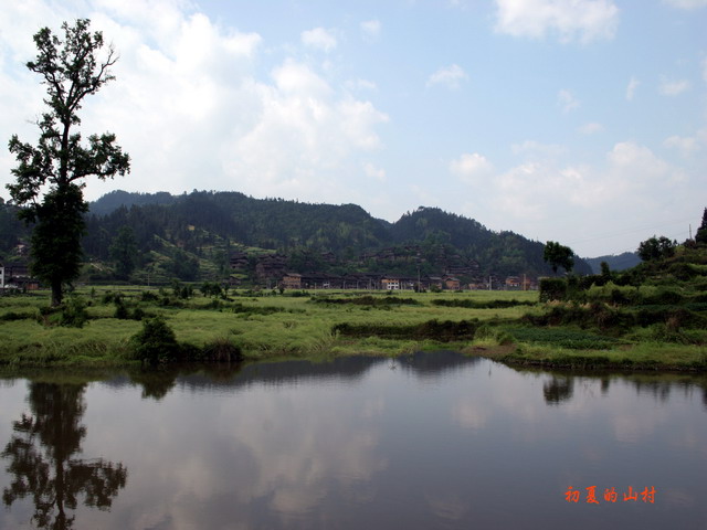 初夏的山村 摄影 挑山工