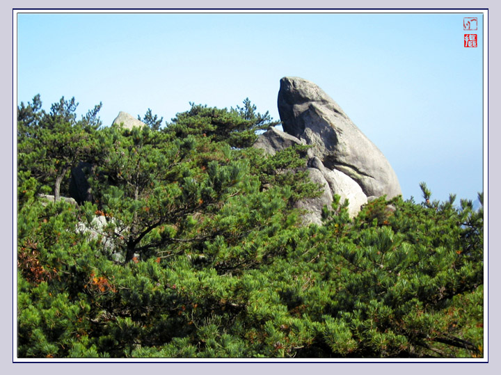 石蛙观天 摄影 一川bqd