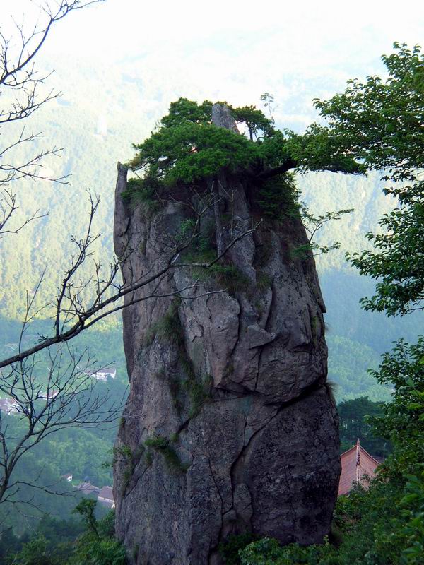 天柱峰 摄影 采菊东篱