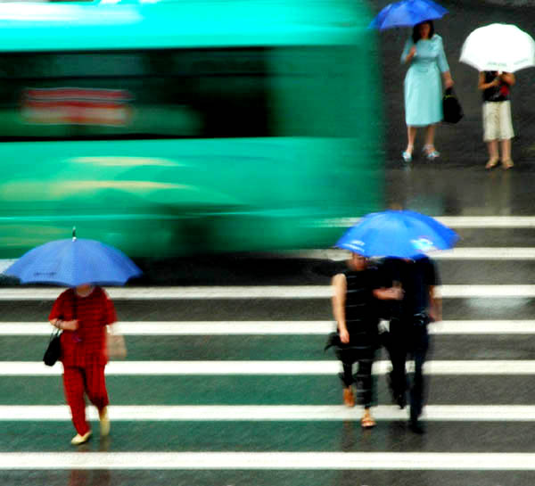 雨中印象.之一 摄影 老黎子