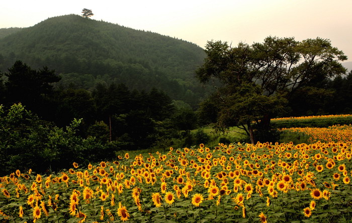 灵空山风光 摄影 forestphoto