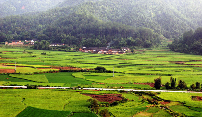 大地颂 摄影 居园