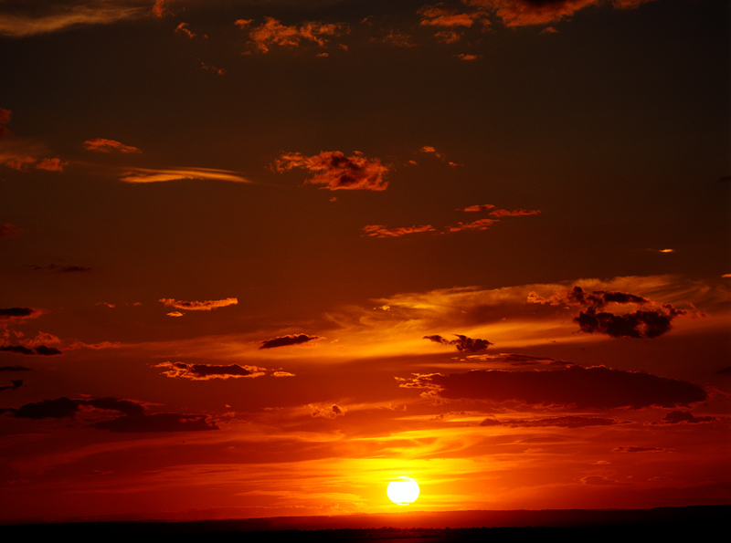 戈壁夕阳 摄影 天府土人