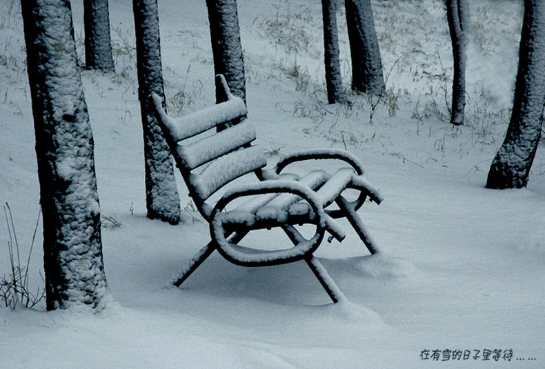 在有雪的日子里等待...... 摄影 老黎子