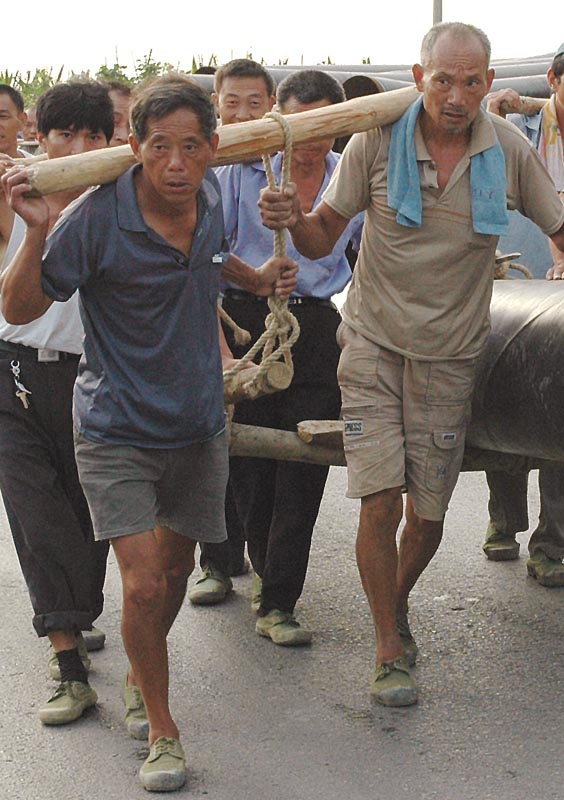 当代农村苦力现状 摄影 空心竹