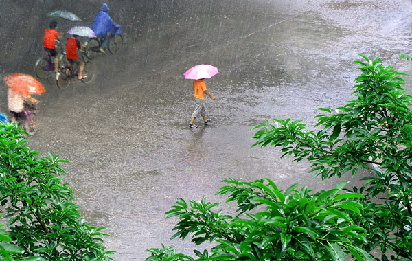 雨中行 摄影 山浪子