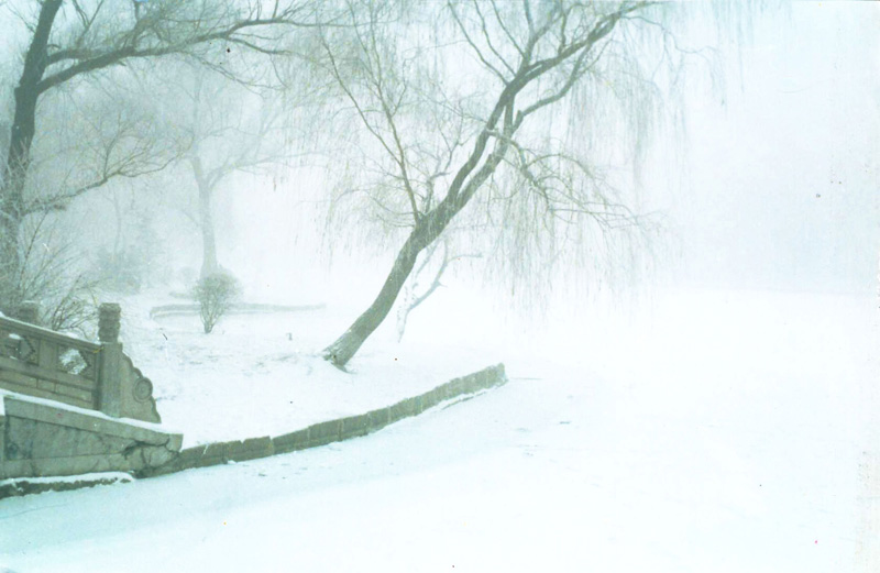 雪雾 摄影 赵俊龙