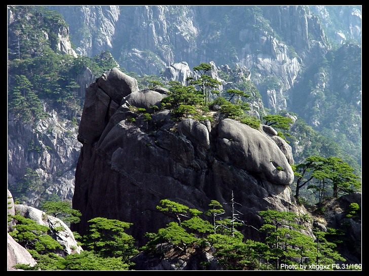 黄山风光 摄影 板桥竹