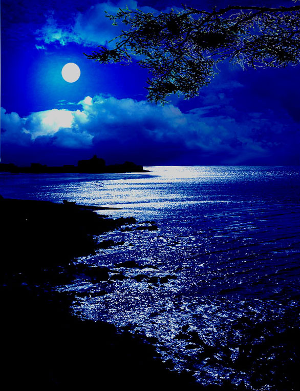 海上升明月 摄影 云石
