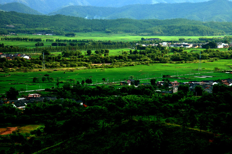 绿 摄影 huangniu