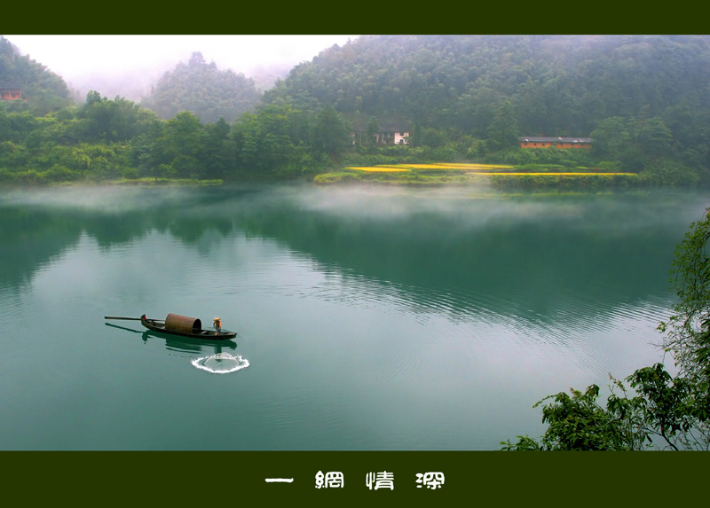 一网情深 摄影 蓦然回首