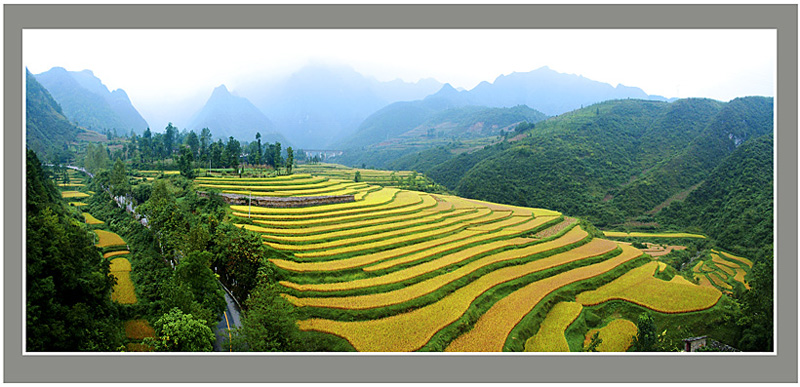 路边景－（梯田） 摄影 黔风