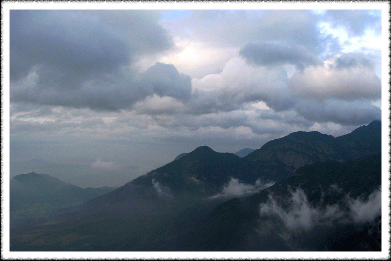 高山云海 摄影 秋水百合