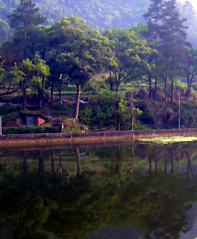 生态县采风（8） 始兴乡间小景 摄影 爬山虎