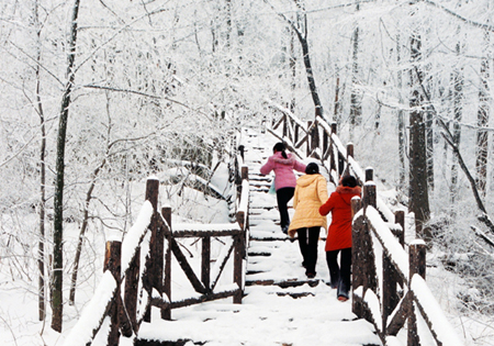 蒙山雪韵 摄影 风雨过后