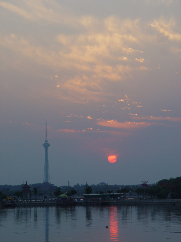 夕阳下 摄影 晨晖