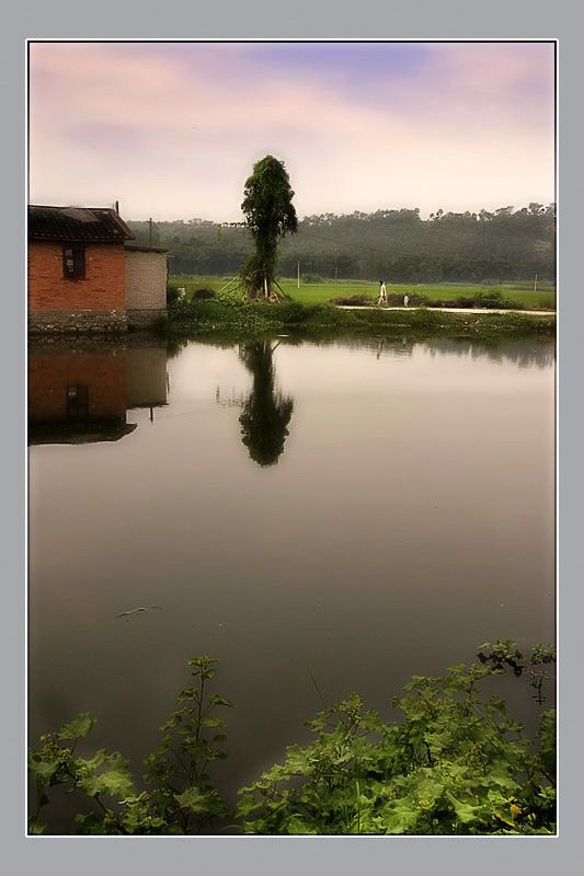 田园小景 摄影 李俚