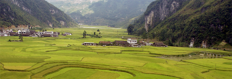 南方的山村田园 摄影 水乡