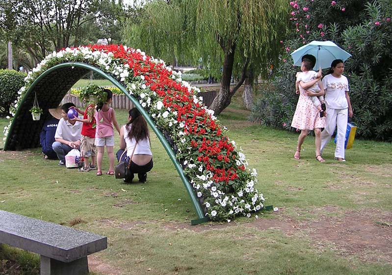 花挡雨棚 摄影 必须注册.