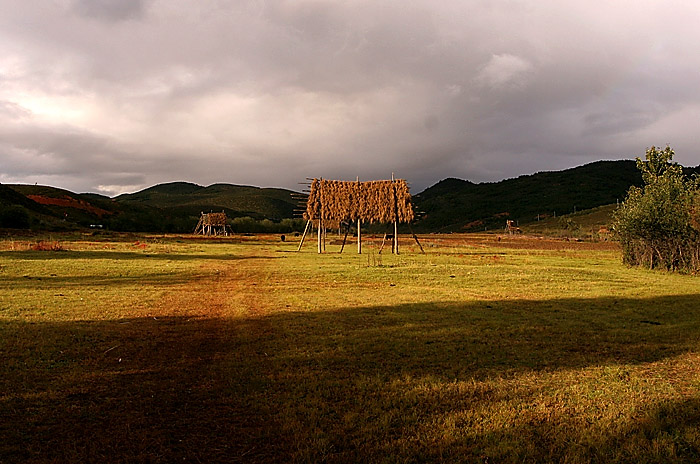 中甸小景 摄影 鹰渡寒潭