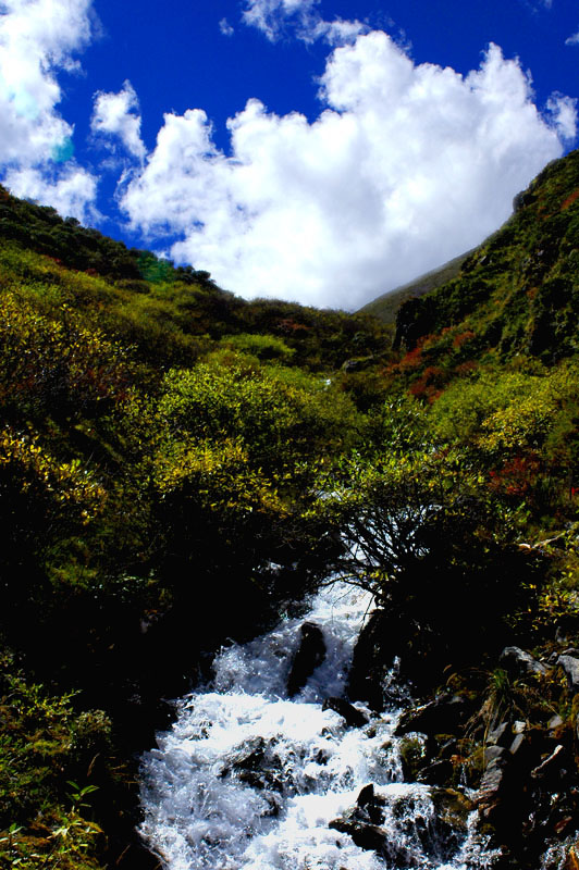 川西风光 摄影 叮咚泉水