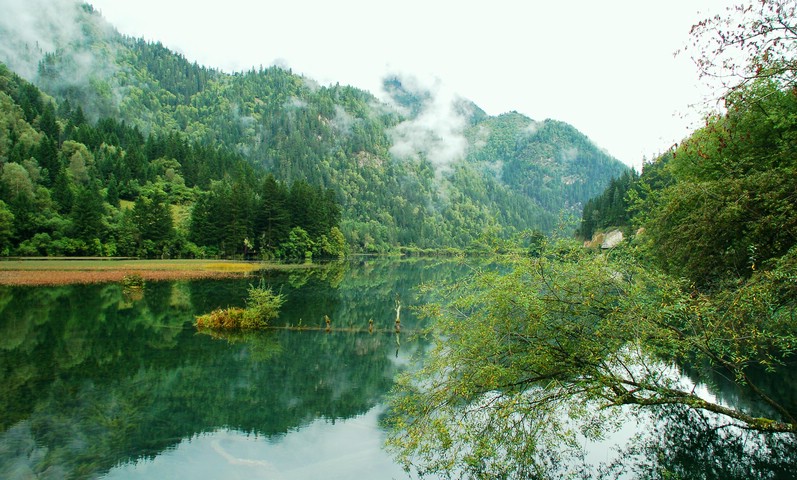 九寨的早晨静悄悄 摄影 乐山乐水