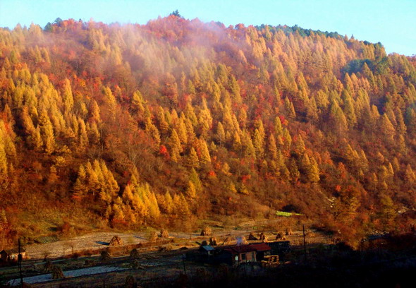 路边秋景 摄影 布儒仁