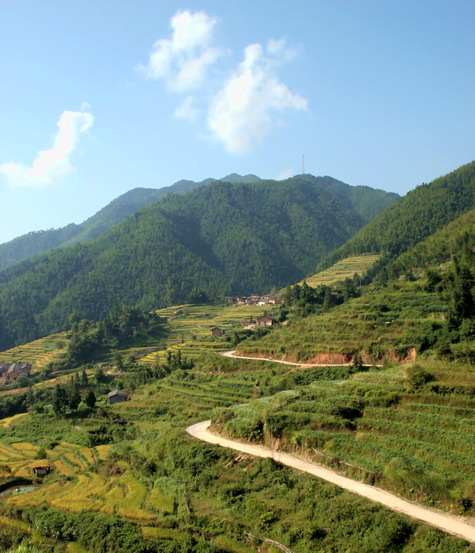 生态县采风（15）大山深处有人家 摄影 爬山虎