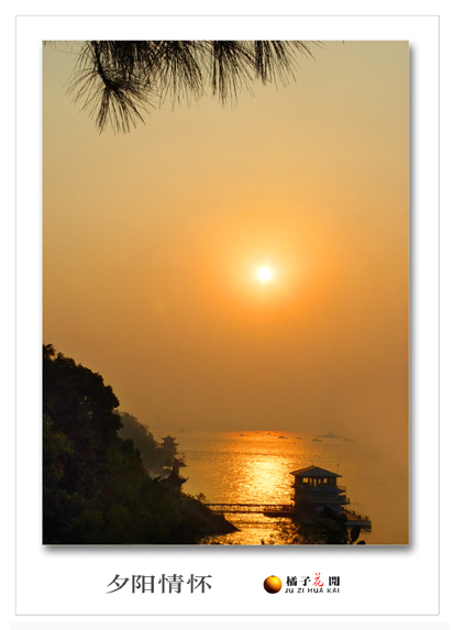 夕阳情怀 摄影 橘子花开