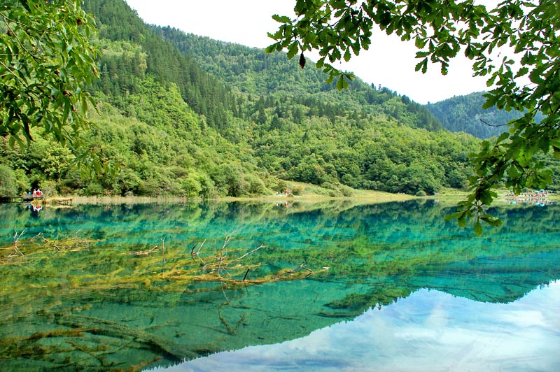 美不美,九寨水 摄影 风光就在险峰