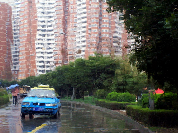 雨中即景 摄影 卢大伟