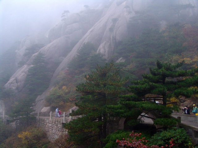 雾锁黄山 摄影 瞎折腾