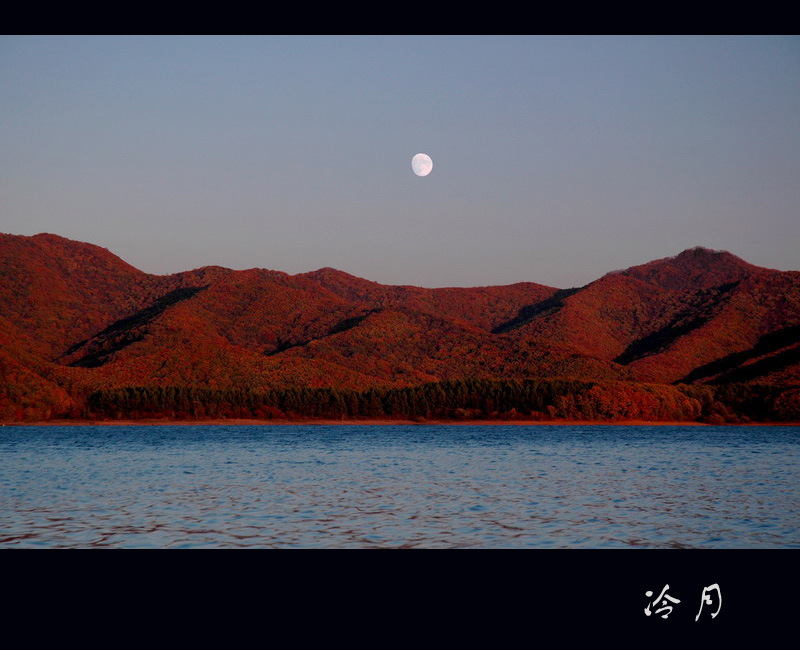 冷月 摄影 琴心