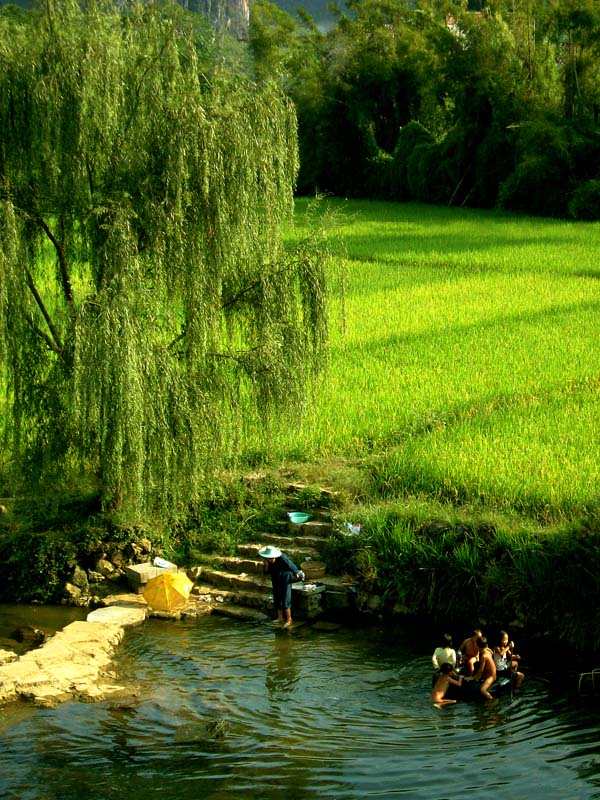 村头小景 摄影 迟来的爱