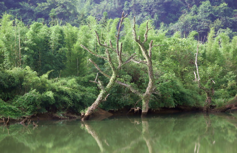 生态县采风（20） 始兴清化河风光 摄影 爬山虎