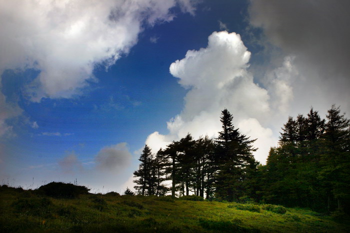 芦芽山风光 摄影 forestphoto