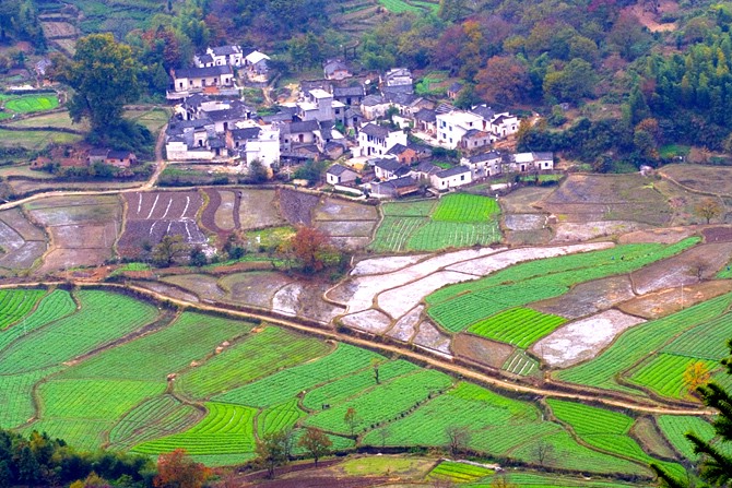 田园交响 摄影 琵琶烟雨