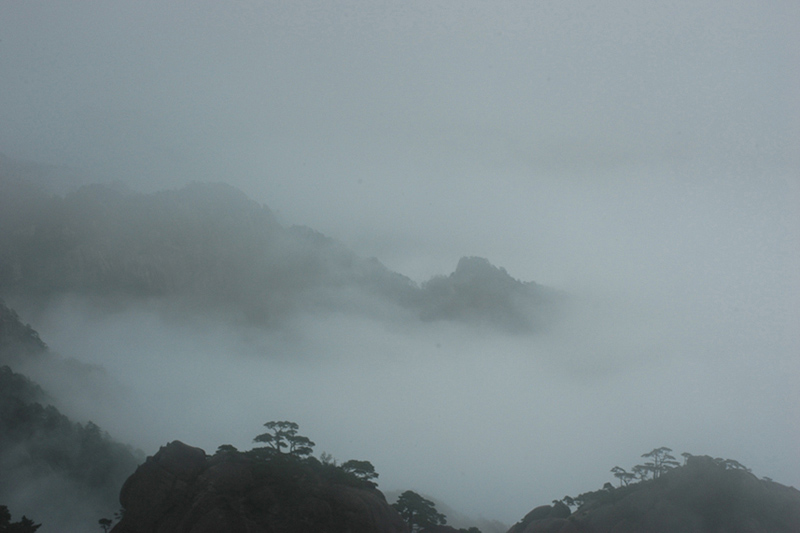 黄山 摄影 水晶蝎子