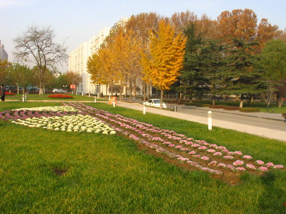 大学校园 摄影 allalone