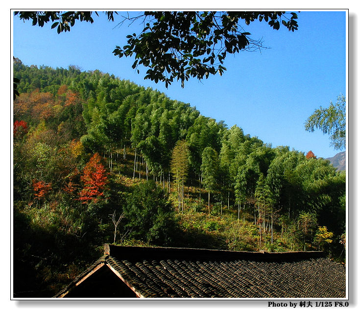 《身边景》—045 摄影 村夫