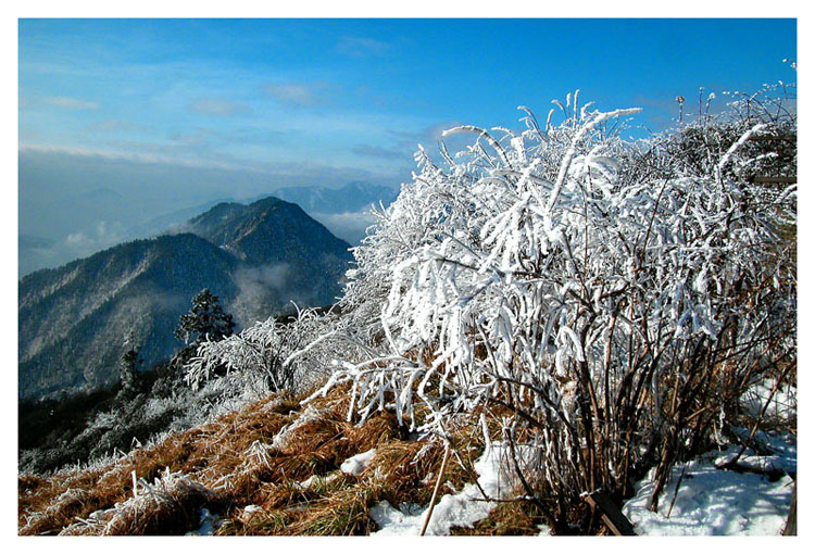 西岭雪色 摄影 wnagdj