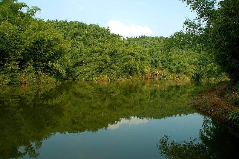 竹.水 摄影 风光在险峰