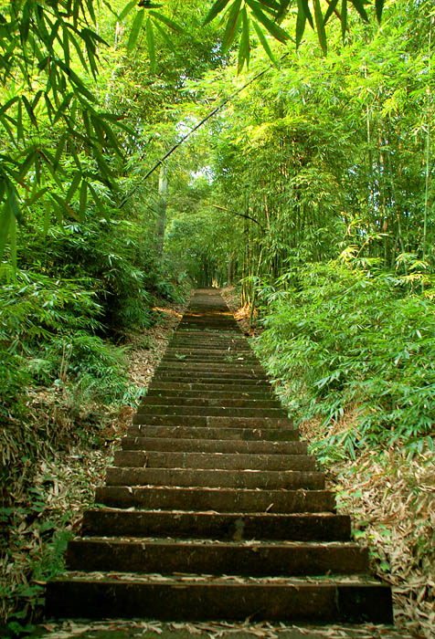 路 摄影 风光在险峰