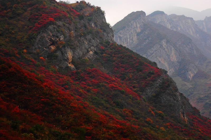 红峡情思 摄影 峡江习影人