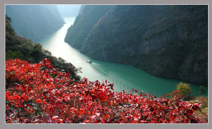 又是一年三峡红 摄影 西江石壁