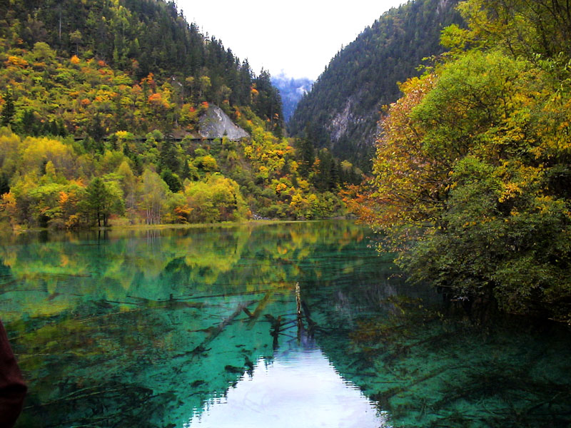 九寨秋景(3) 摄影 石山人